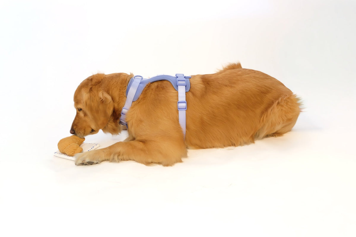 Croissant Nose Work Toy / Enrichment Toy