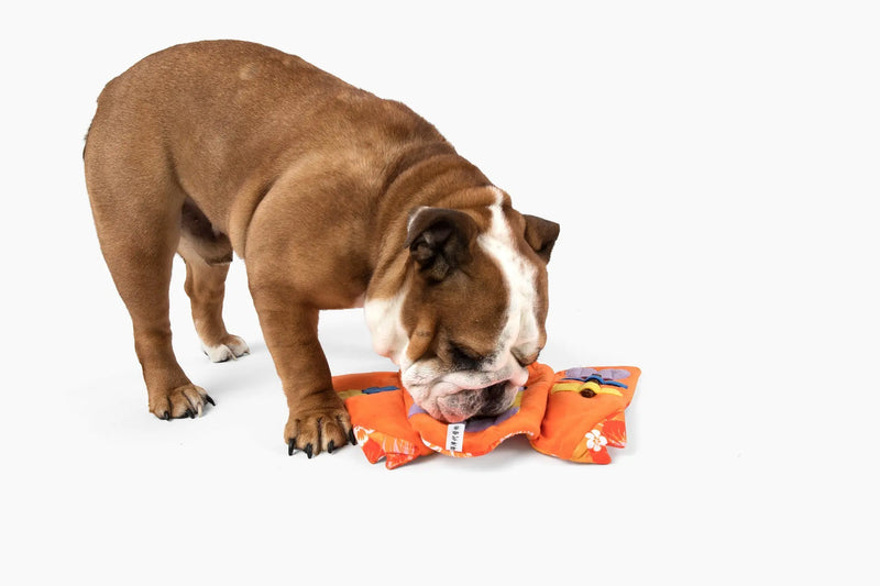 Aloha Nose Work Dog Toy