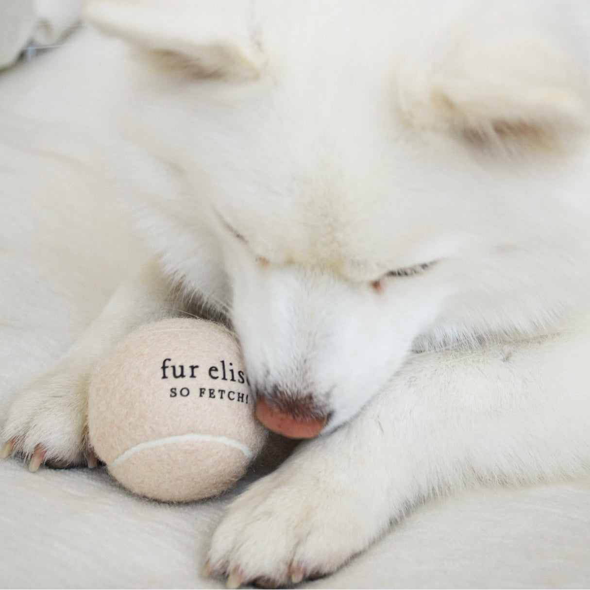 So Fetch! Tennis Ball - Latte Elise Galleria