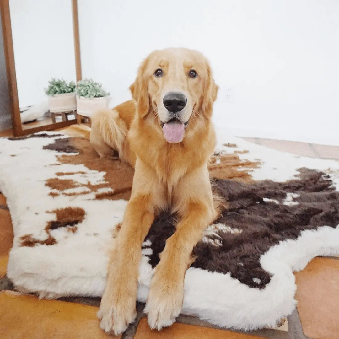 PupRug™ Animal Print Memory Foam Dog Bed - Brown Faux Cowhide Paw.com