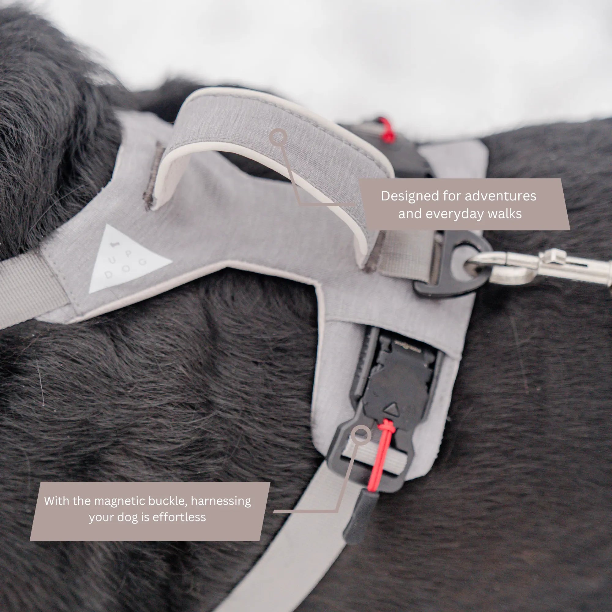 Magnetic Dog Harness with Handle - Easy On, No-Pull Design