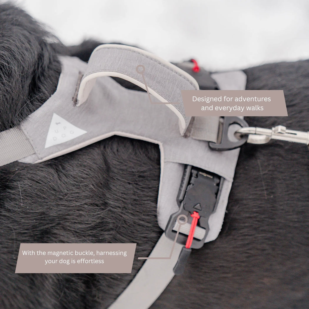 Magnetic Dog Harness with Handle - Easy On, No-Pull Design