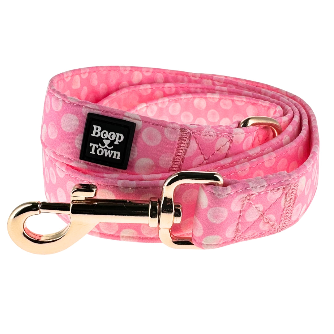 Boop Town 5ft Soft Cotton Dog Leashes with Metal Hardware