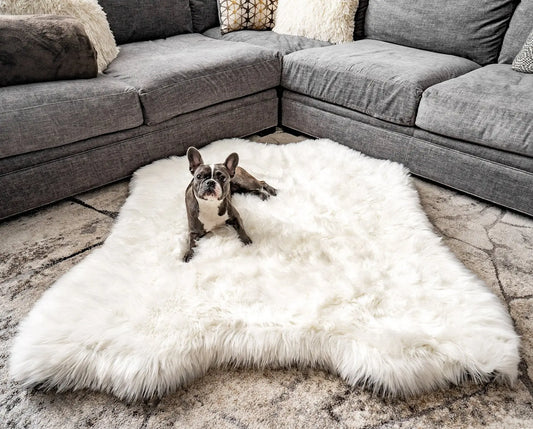 PupRug™ Animal Print Memory Foam Dog Bed - Polar Bear Faux Hide Paw.com