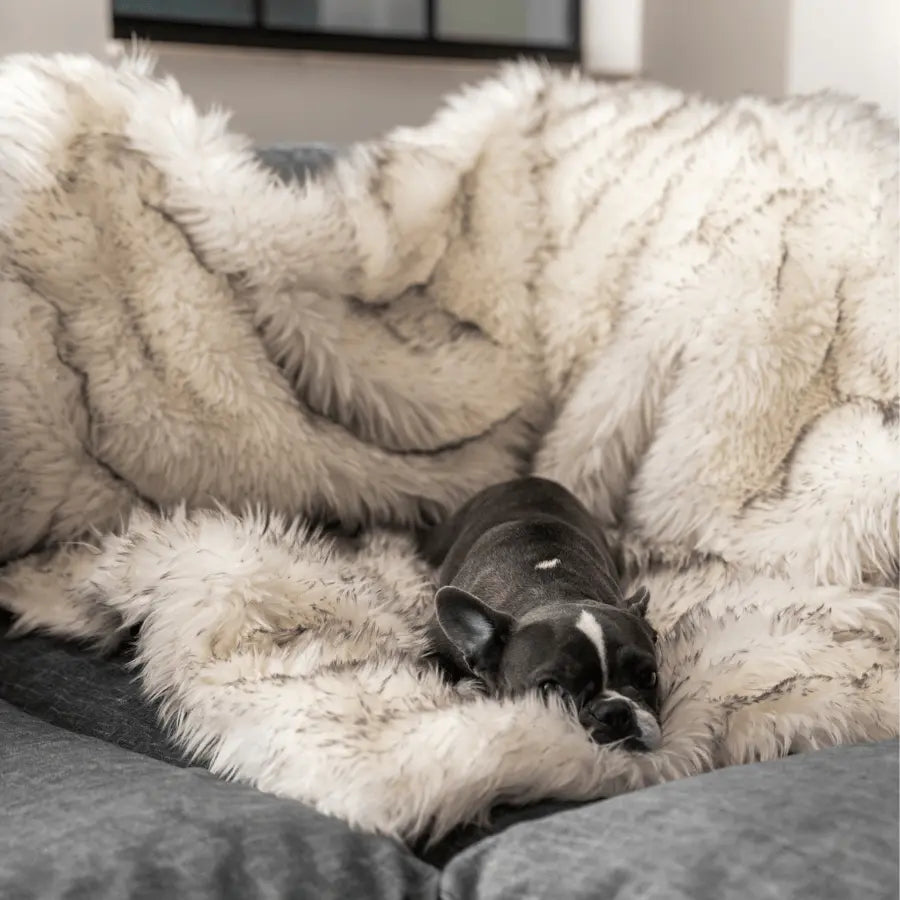 PupProtector™ Waterproof Throw Blanket - White with Brown Accents Paw.com