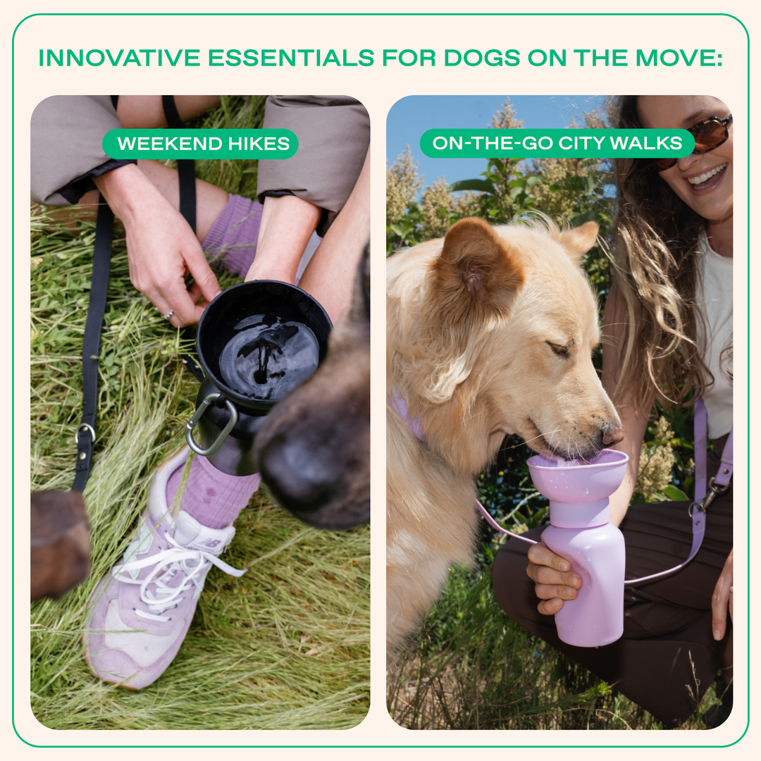 20oz Flip Travel Dog Water Bottle