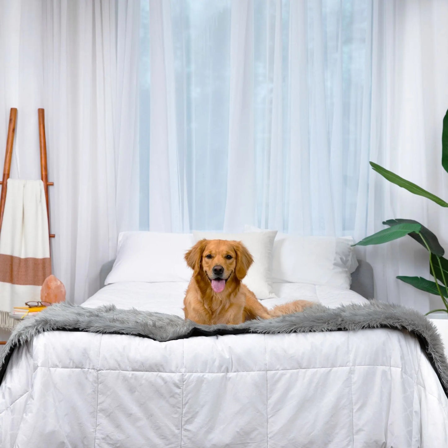 PupProtector™ Waterproof Bed Runner - Charcoal Grey Paw.com