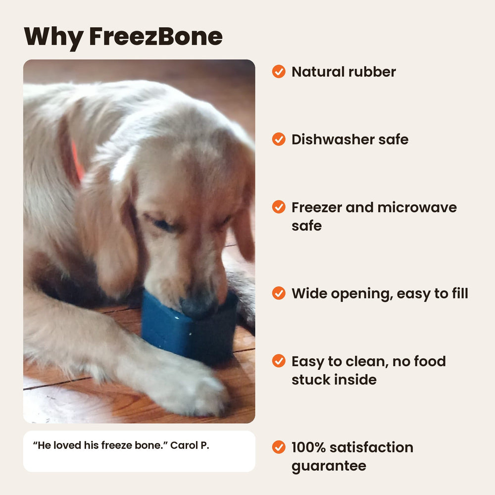 Freezbox - Super Tough Treat Toy