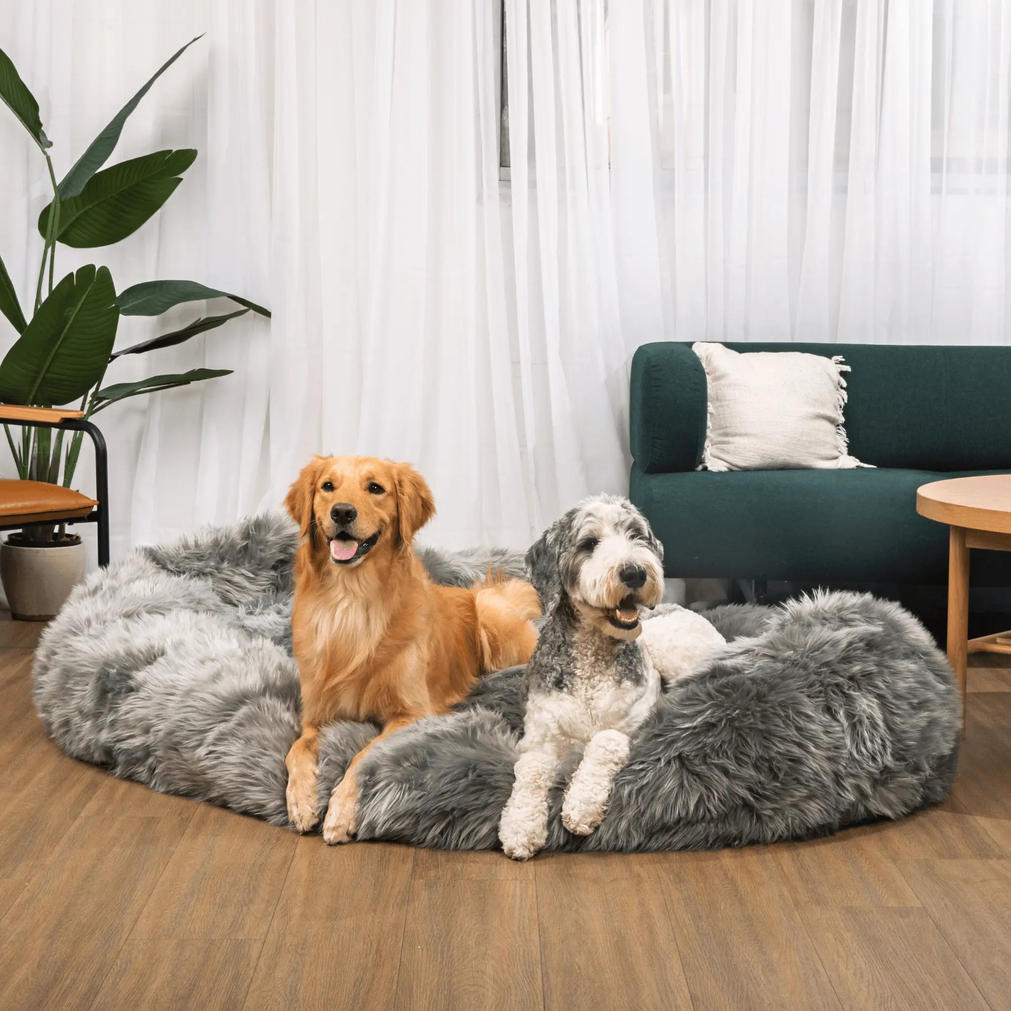 PupCloud™ Human-Size Faux Fur Memory Foam Dog Bed - Charcoal Grey Paw.com