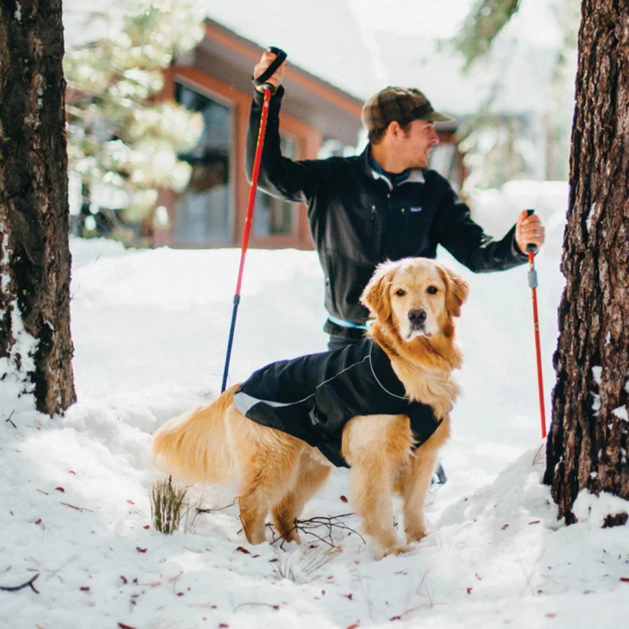 Kurgo Dog North Country Coat Black Medium