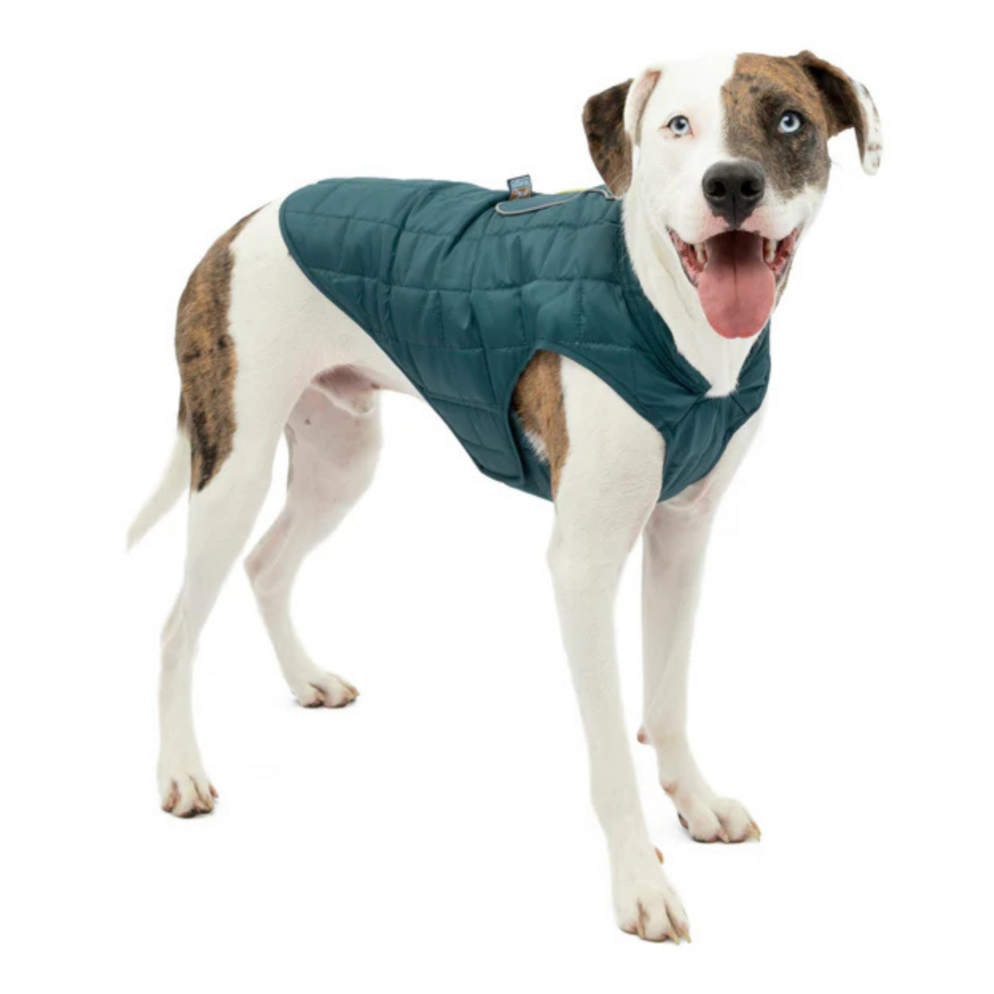 Kurgo Dog Loft Jacket Ink Blue Medium
