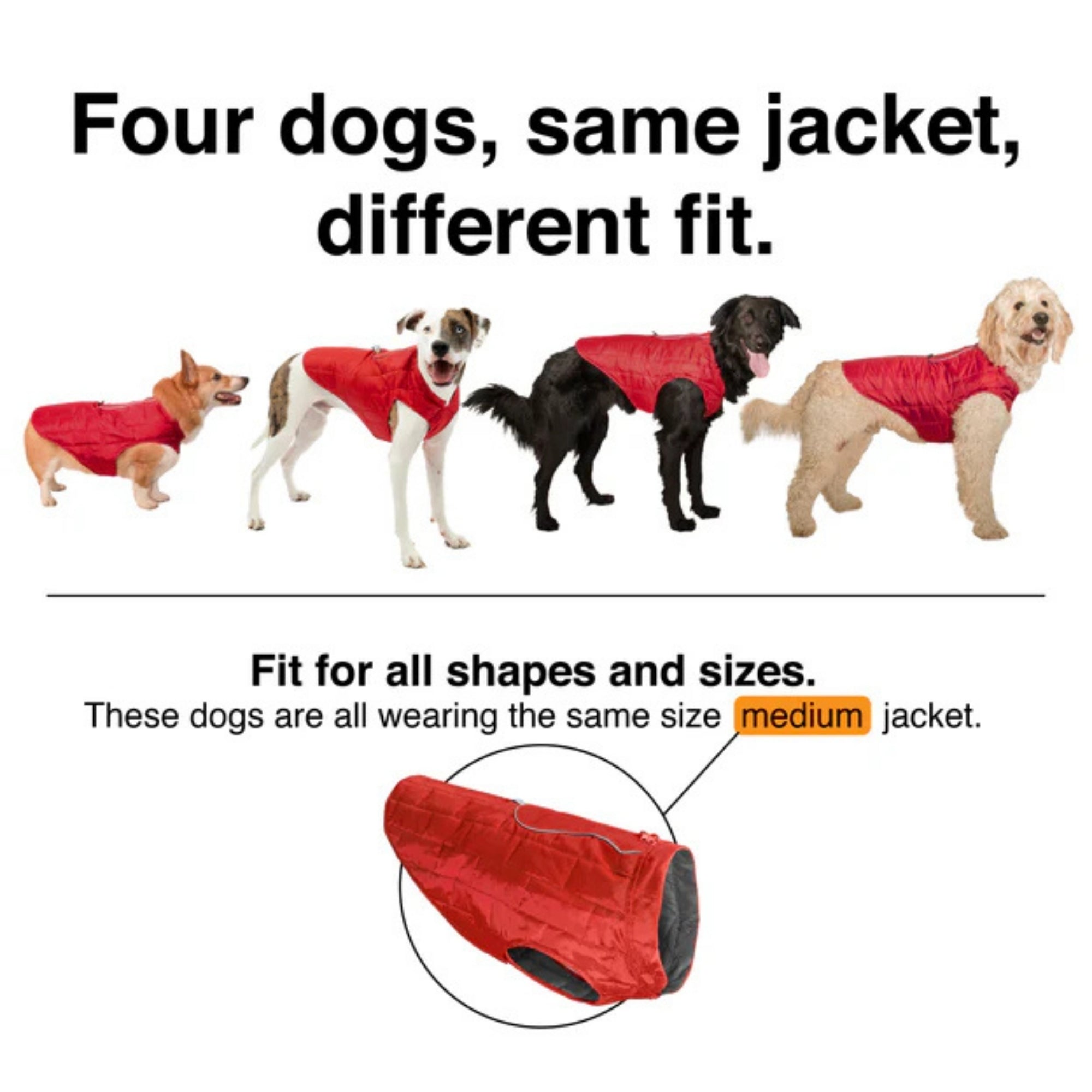Kurgo Dog Loft Jacket Ink Blue Medium