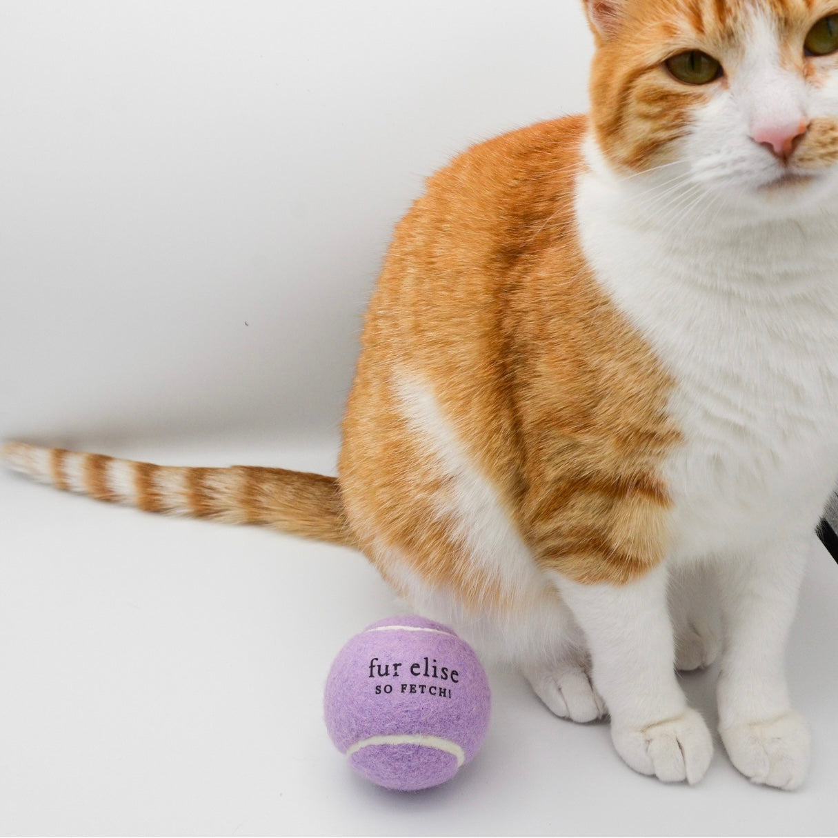 So Fetch! Tennis Ball - Lilac Elise Galleria