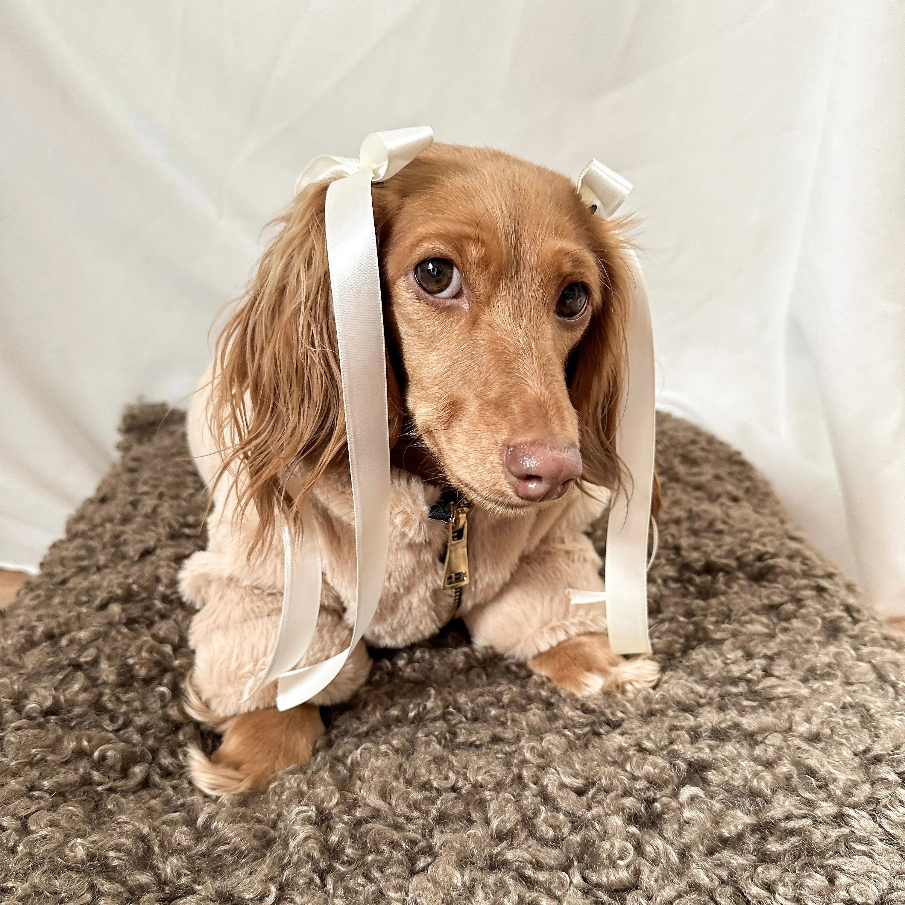 Fur Elise Furi Pet Coat - Sand