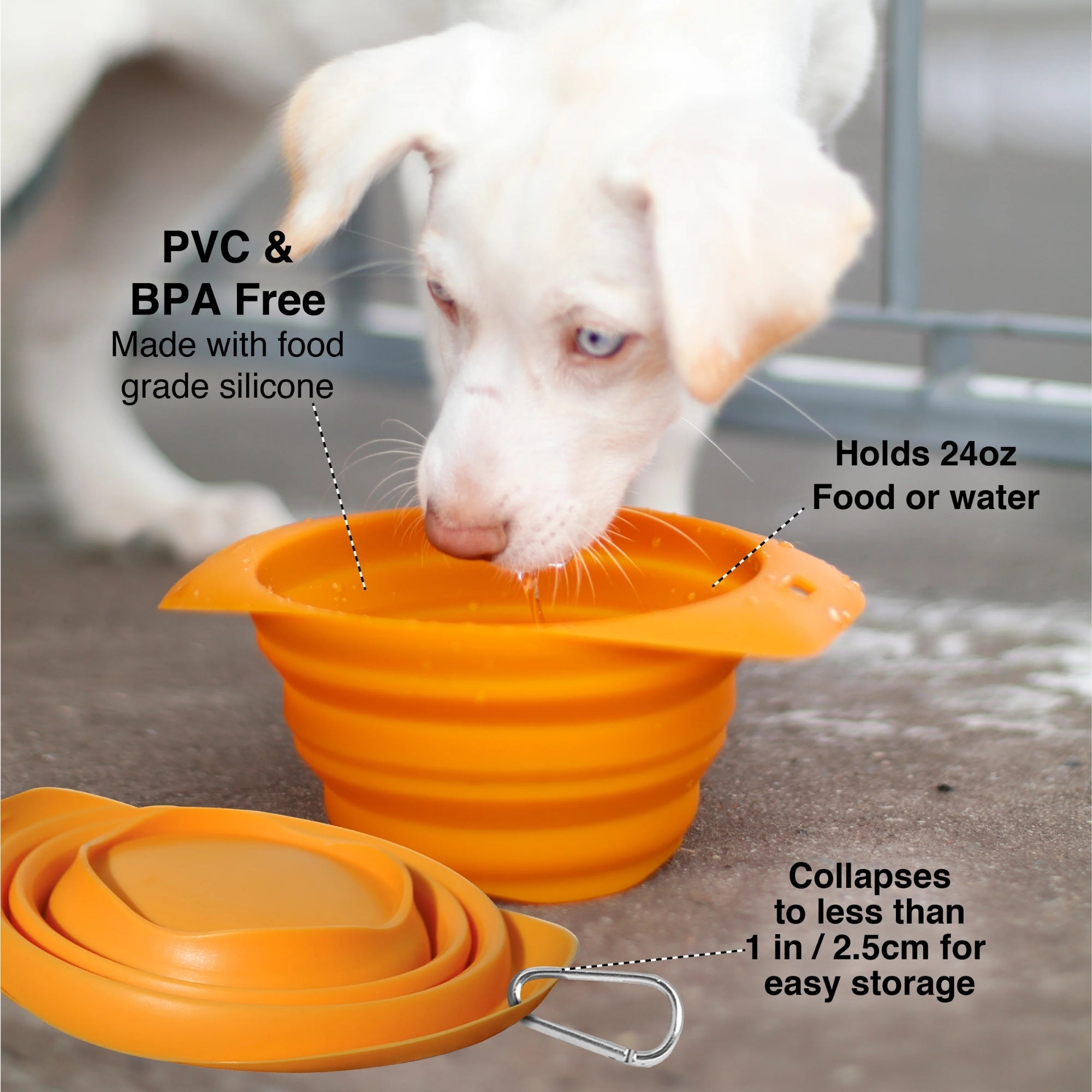 Kurgo Dog Collaps-A-Bowl Orange