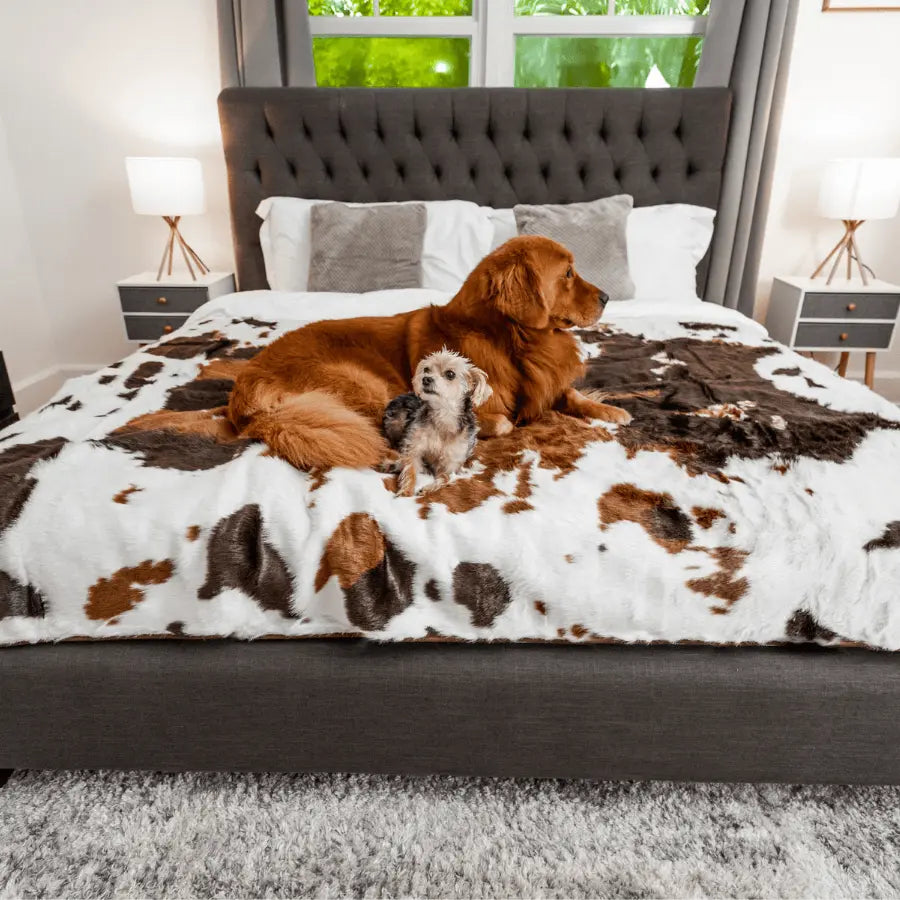 PupProtector™ Waterproof Throw Blanket - Brown Faux Cowhide Paw.com
