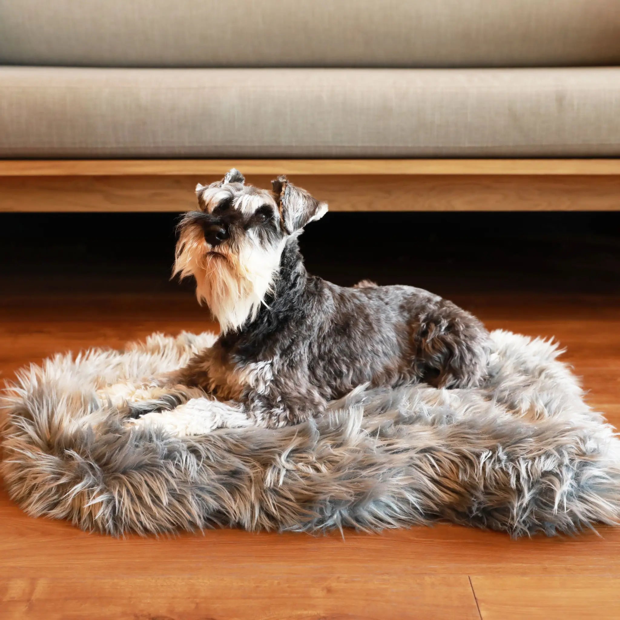 PupRug by Paw.com™ Faux Fur Orthopedic Dog Bed - Curve Charcoal Grey Paw.com