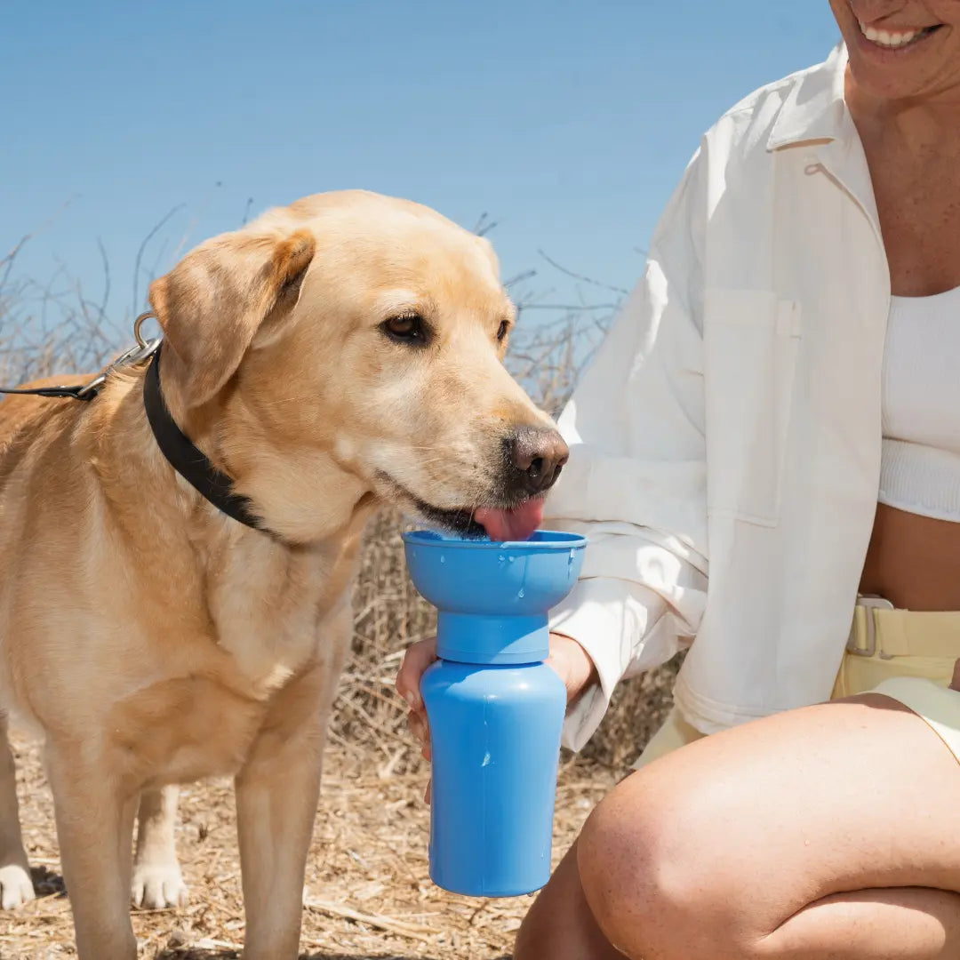 20oz Flip Travel Dog Water Bottle
