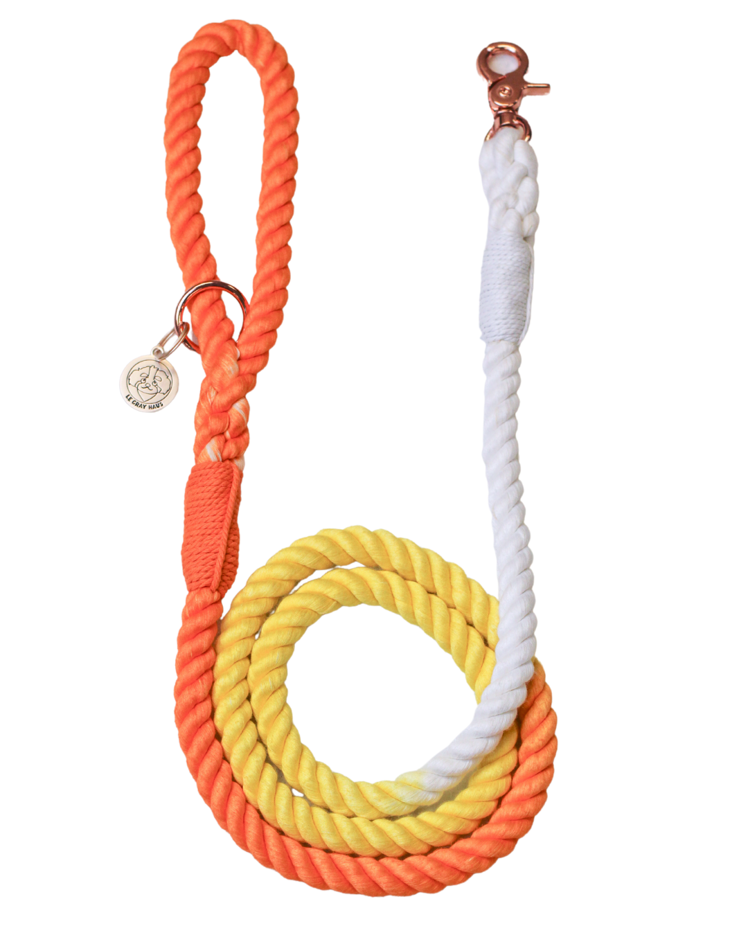 Ombre Rope Leashes