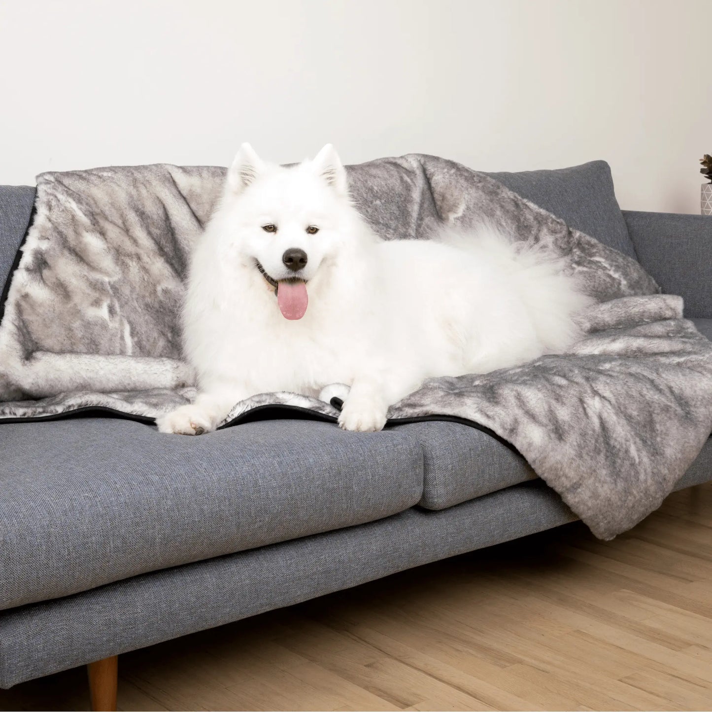 PupProtector™ Luxe Waterproof Faux Fur Blanket - Ultra Soft Chinchilla Paw.com