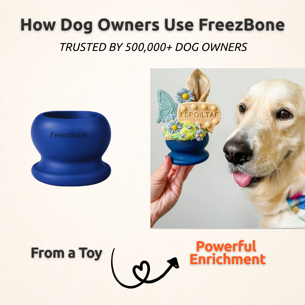 Freezball Dog Chew Toy- Durable Fillable Dog Chew Bone by Freezbone