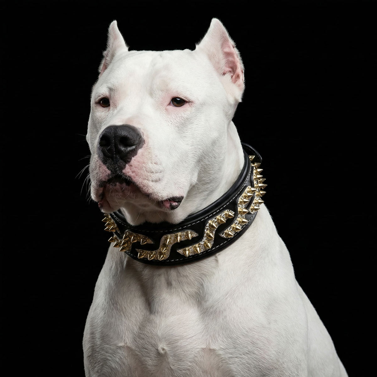 Bestia Platinum Leather Dog Collar
