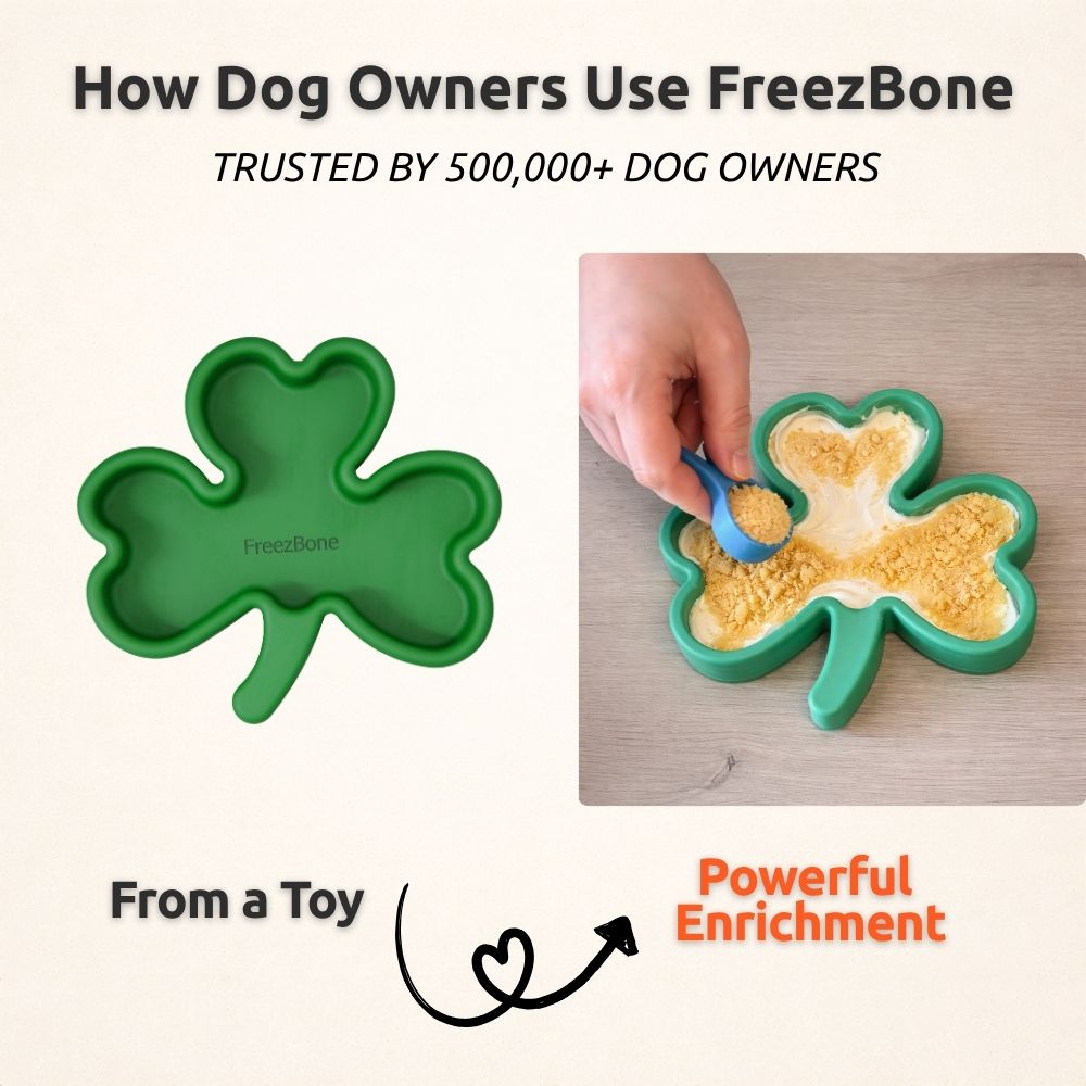 FreezShamrock - Premium Enrichment Toy