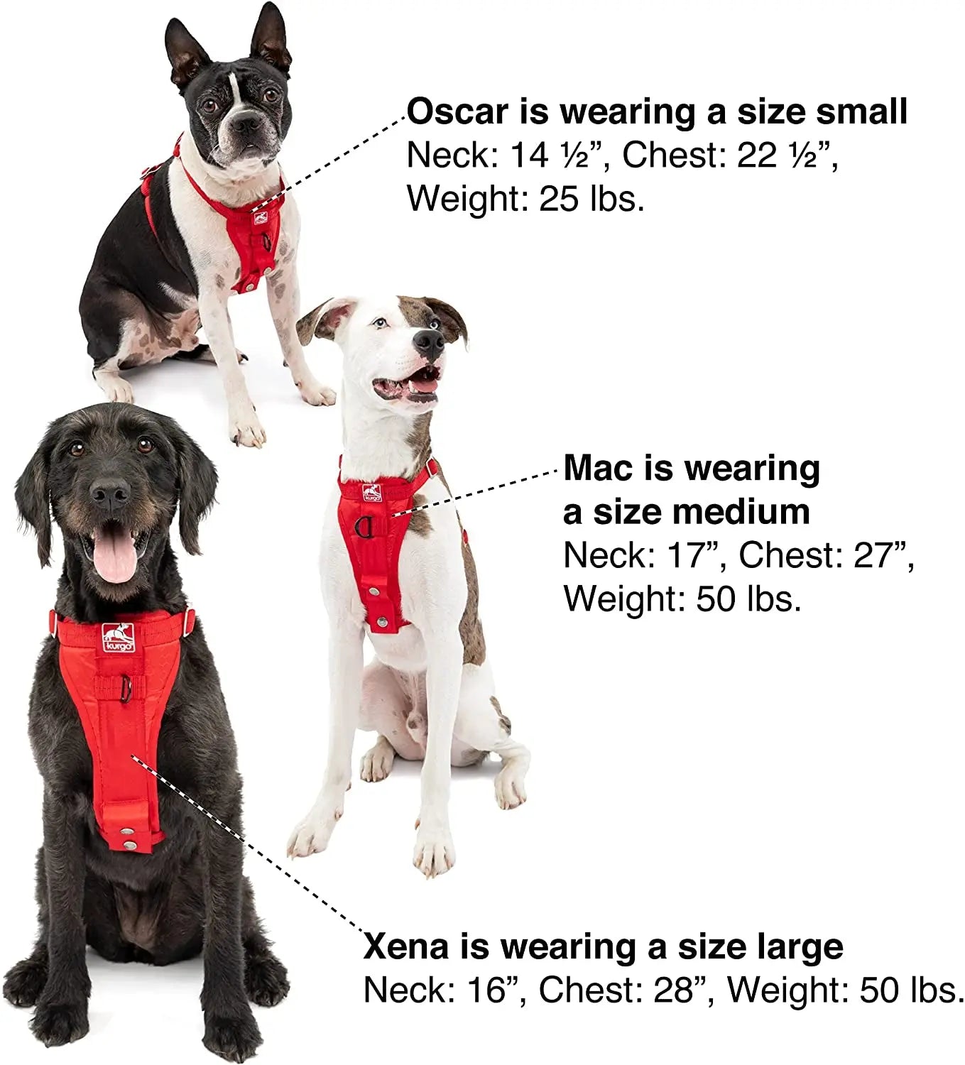 Enhanced Strength Tru-Fit Dog Car Harness - Crash Tested for Safety - Broad Chest Plate - All Steel Nested Buckles - Includes Seatbelt Tether - Red - Medium