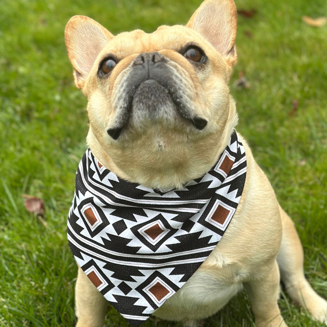 Southwest Dog Bandana Happy Tails Outfitters
