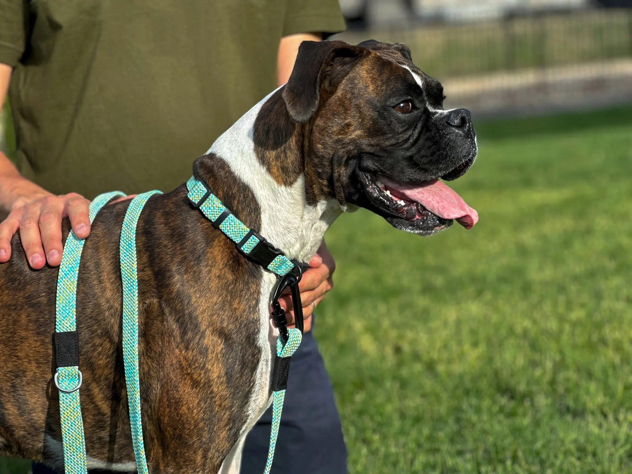 Adventure Style Collar and Leash SET Euro-Dog Collars and Leads