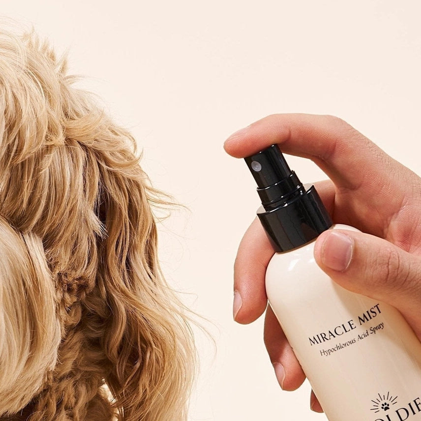 Miracle Mist