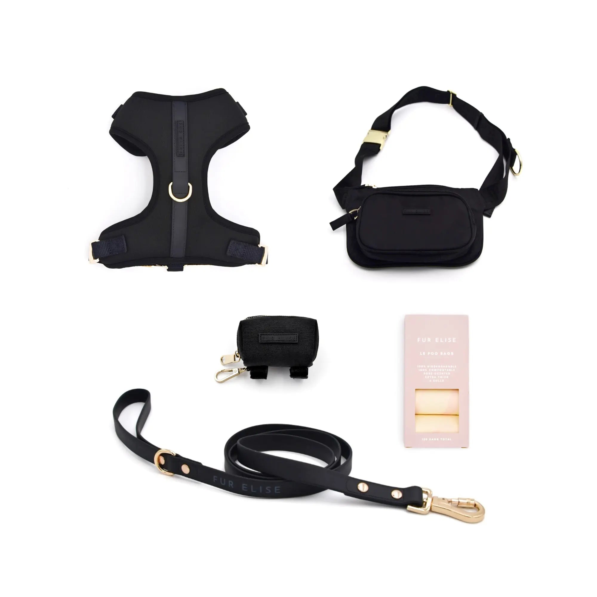 The Ultimate Walk Set - Noir - K9 Outdoors