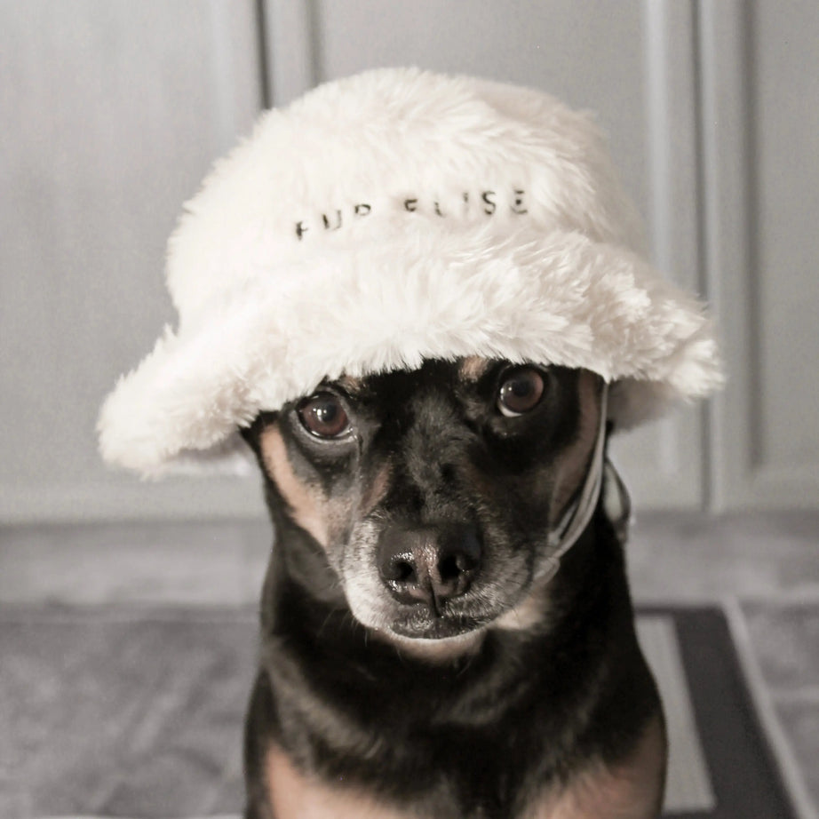 Fur Elise Furi Pet Hat - Bone