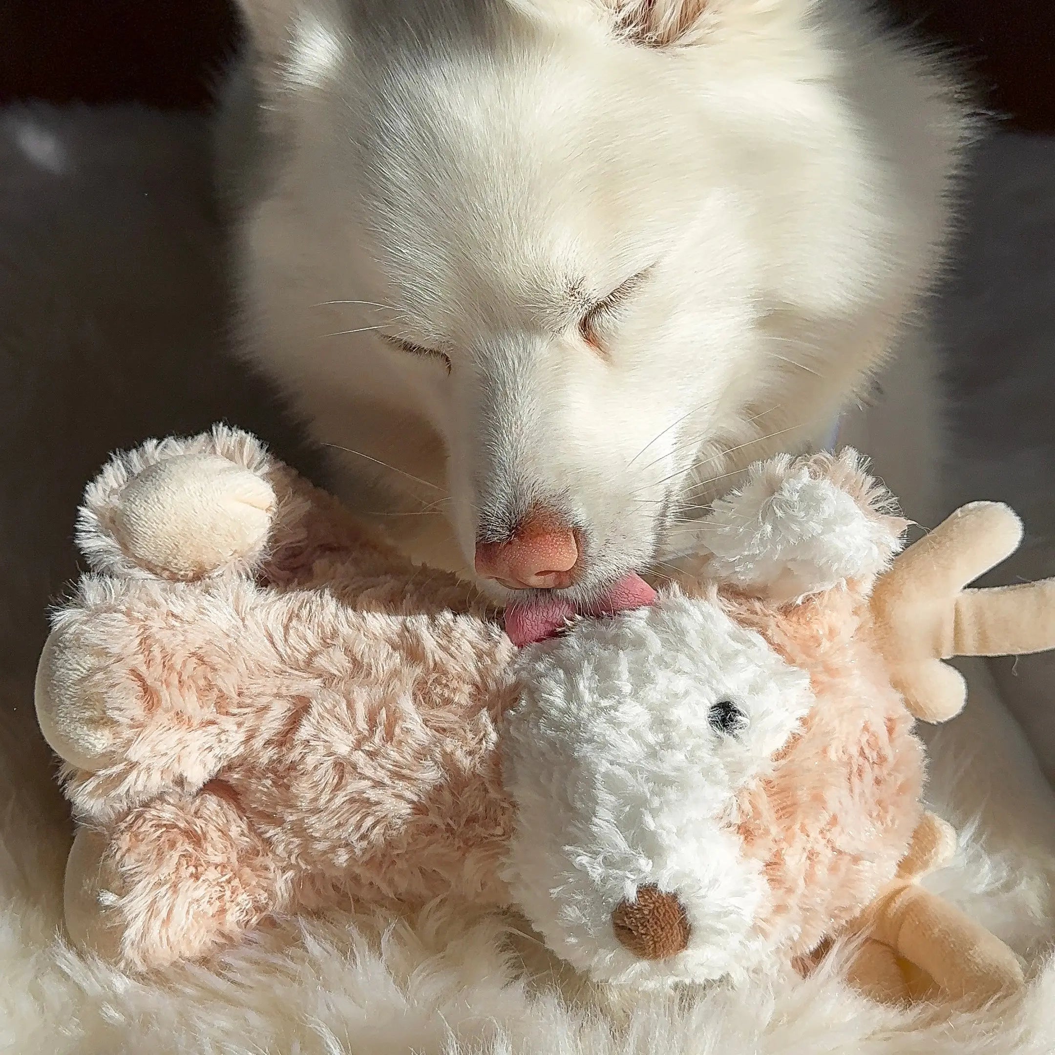 Fur Elise Vixi Plush Toy - Maxi