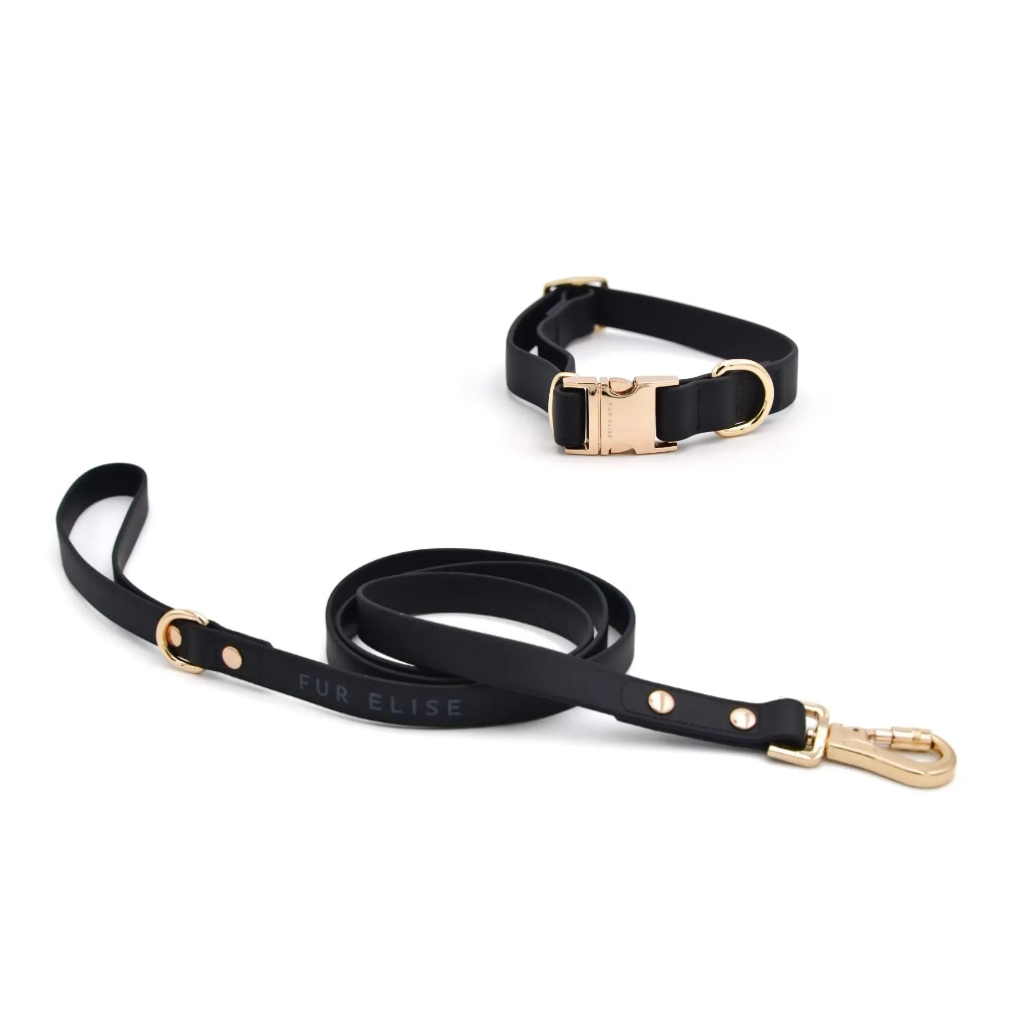 Elise Collar & Leash Set - Noir - K9 Outdoors