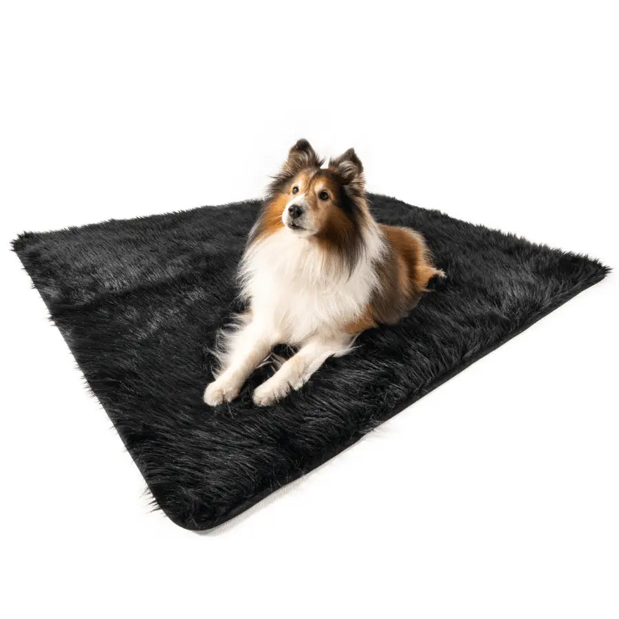 PupProtector™ Waterproof Throw Blanket - Midnight Black Paw.com