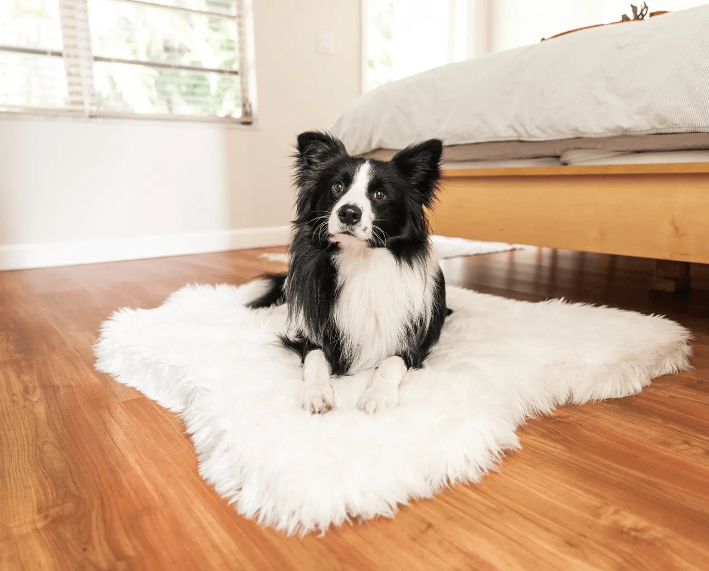 PupRug™ Animal Print Memory Foam Dog Bed - Polar Bear Faux Hide Paw.com