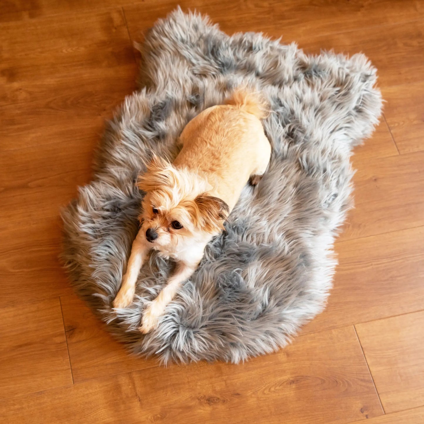 PupRug by Paw.com™ Faux Fur Orthopedic Dog Bed - Curve Charcoal Grey Paw.com