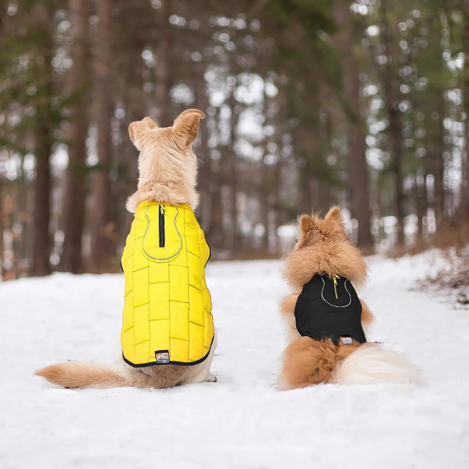 Loft Jacket, Reversible Dog Coat, Dog Coat for Cold Weather, Water-Resistant Dog Jacket with Reflective Trim, Black/Yellow, Medium