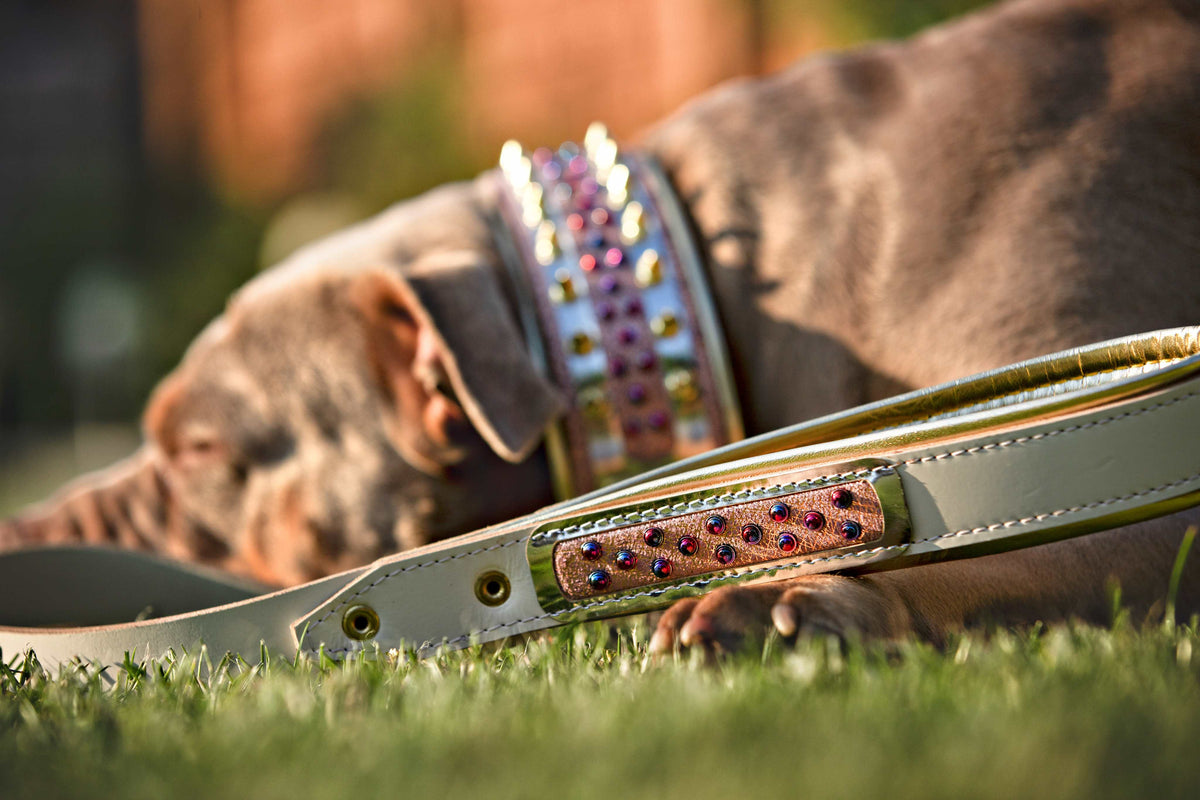 Bestia Candy Leather Dog Leash