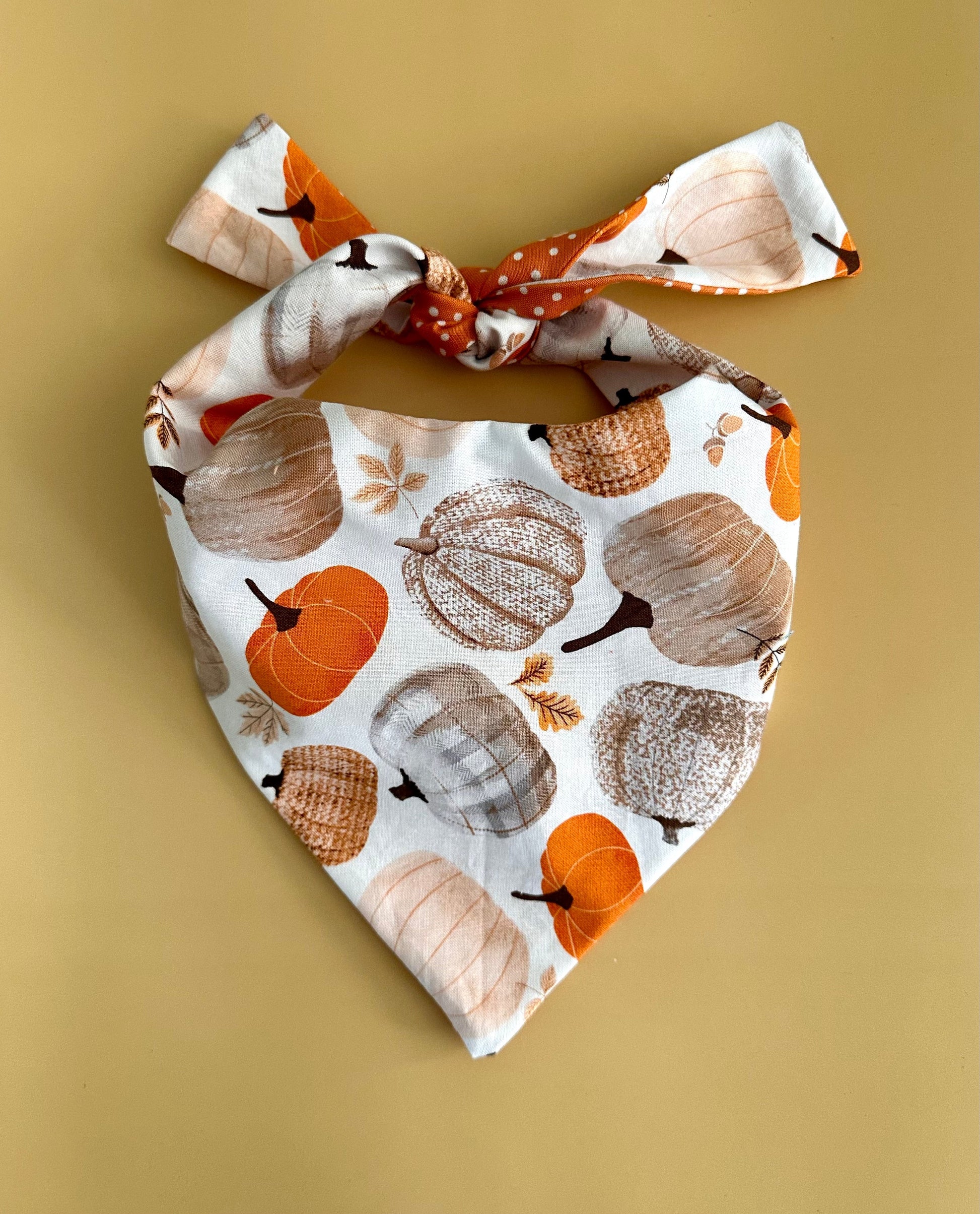 Pumpkin Dog Bandana Happy Tails Outfitters