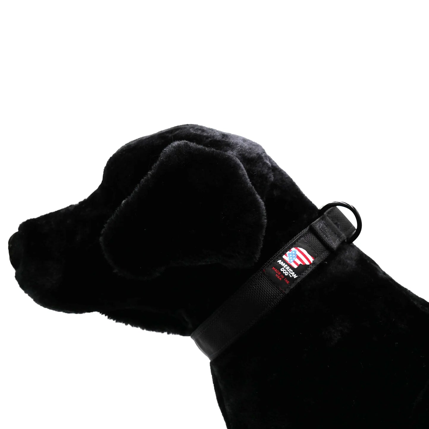 Collars. Ballistic Solids & Print Designs American Dog
