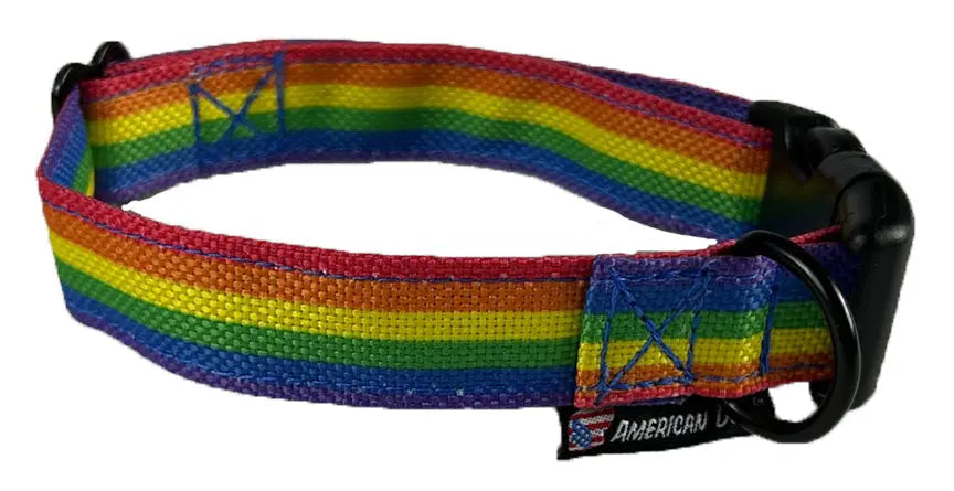 Rainbow Collars American Dog
