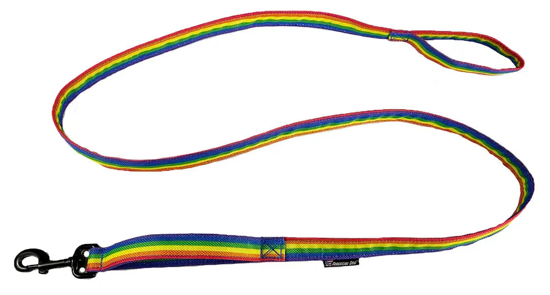 Rainbow Leash American Dog