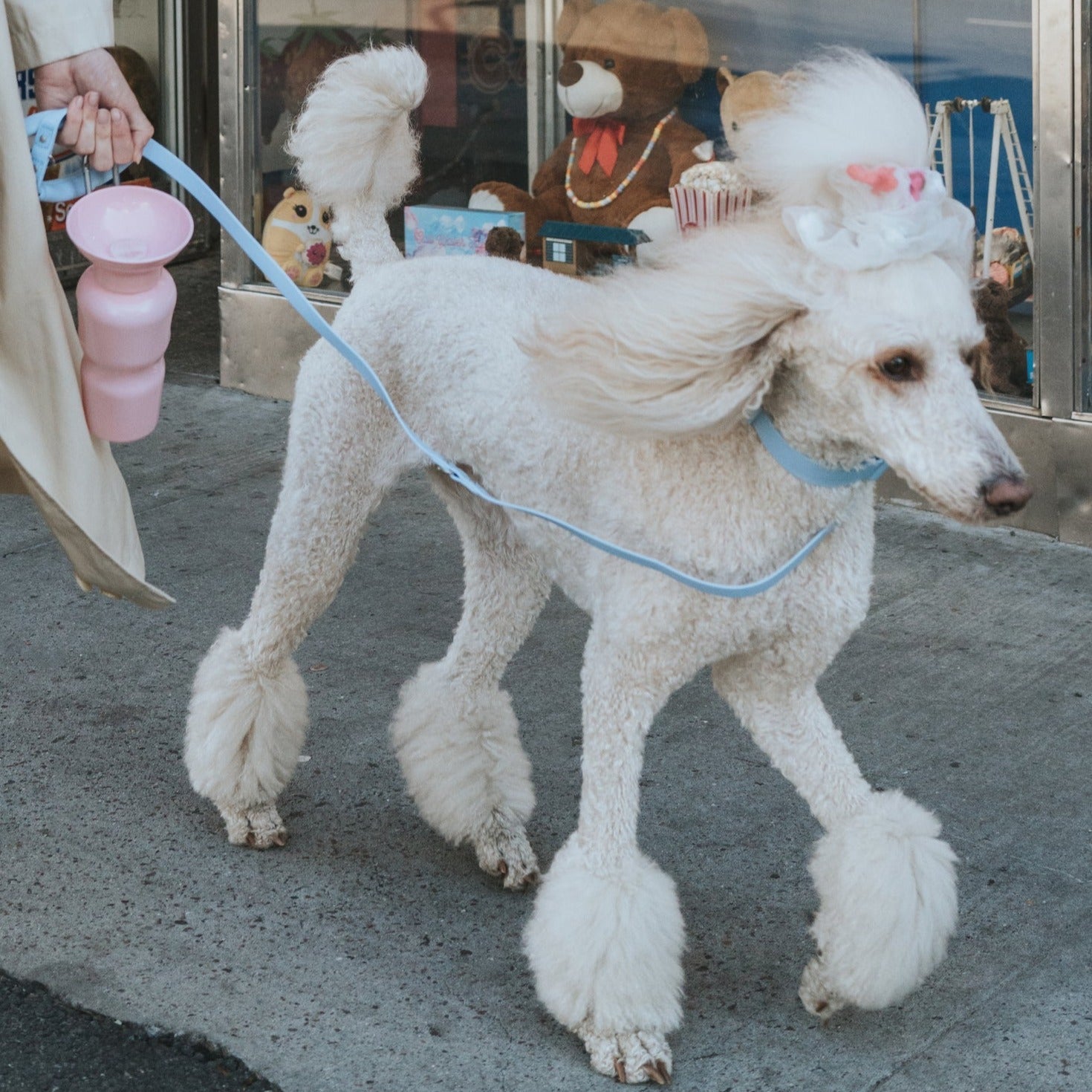 Original Dog Leash with Neoprene Handle Springland Pets