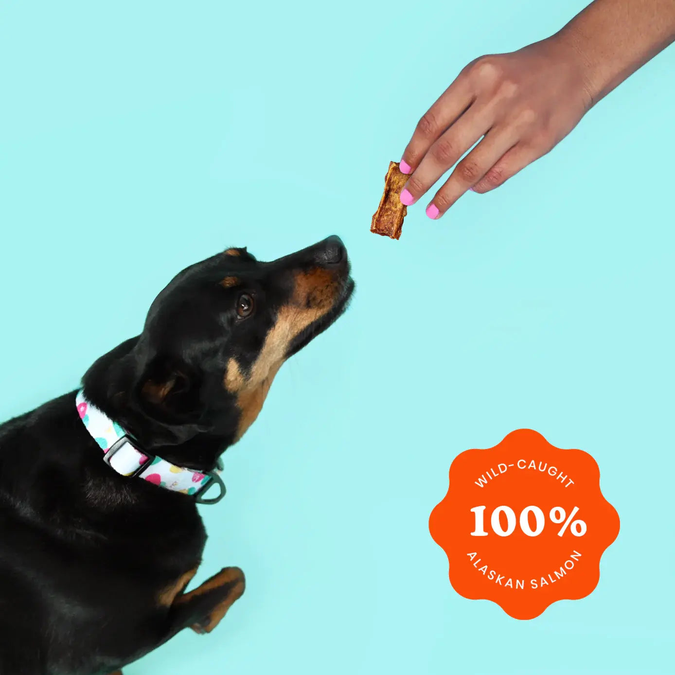 Ava's Pet Palace Crunchy Jerky Dog Treats - Snappin' Salmon Treats (4 oz) American Pet Supplies
