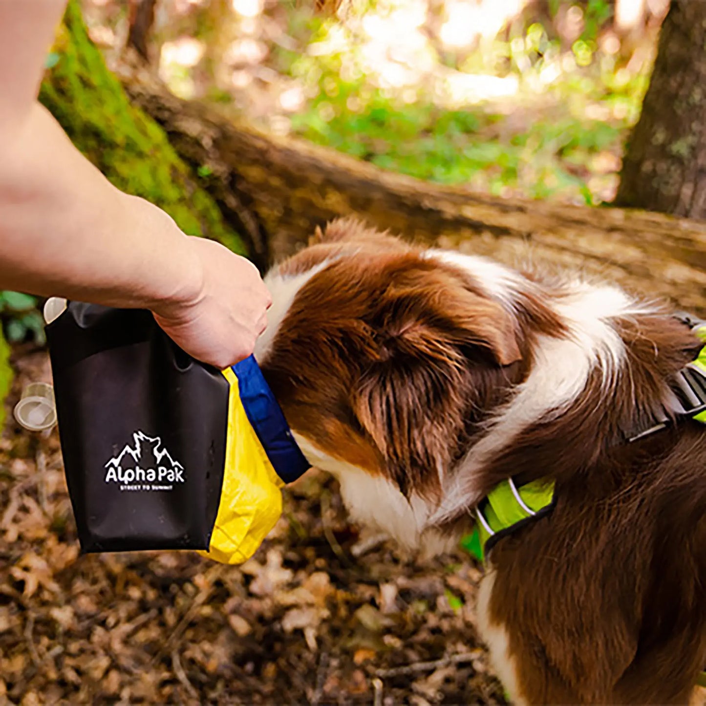 Kobuk Water Bladder Alpha Pak