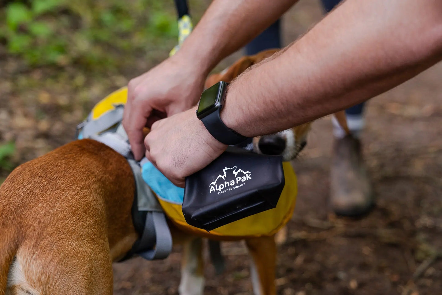 Kobuk Water Bladder Alpha Pak