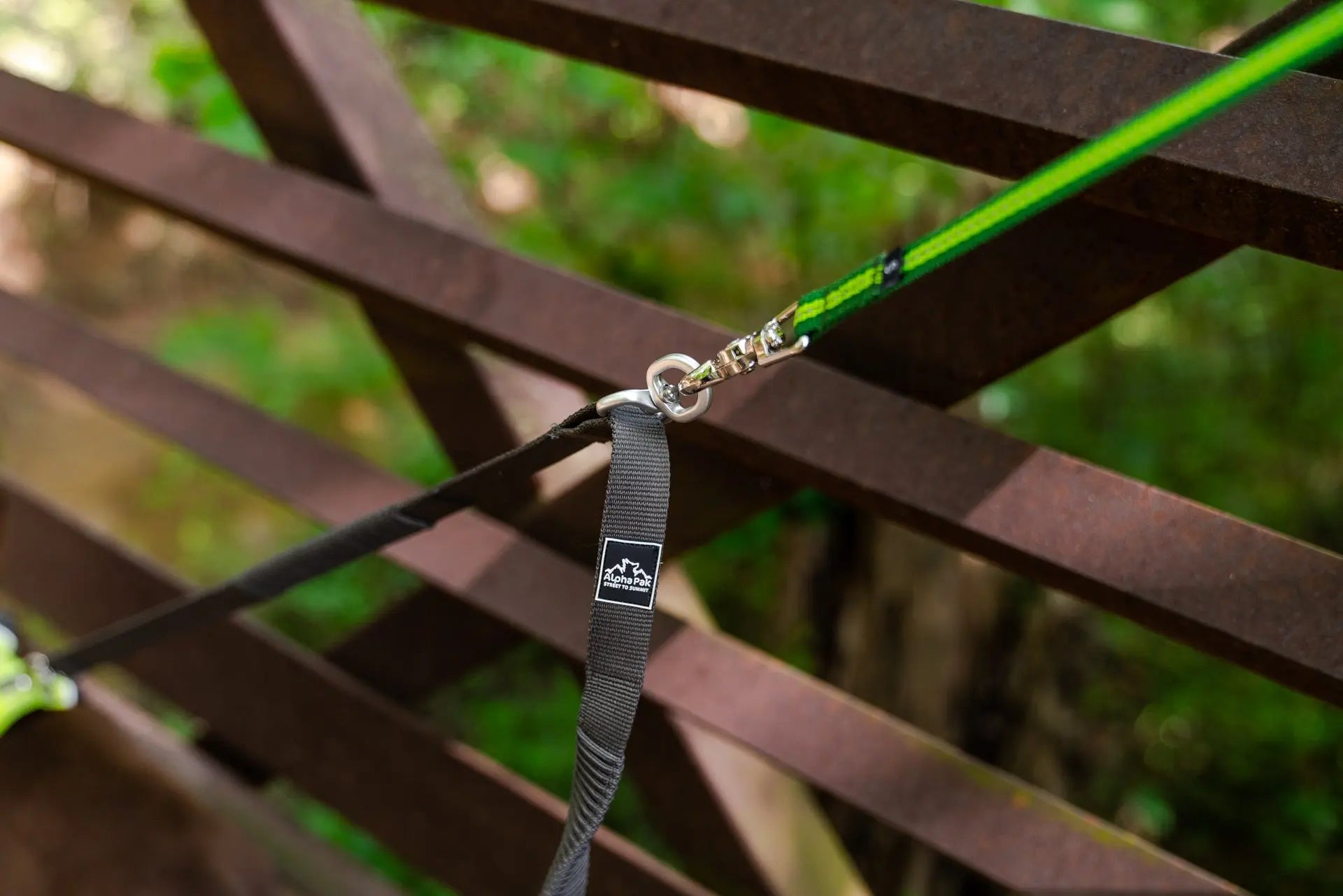 Teton Dark Gray Elastic Dog Leash Coupler Alpha Pak