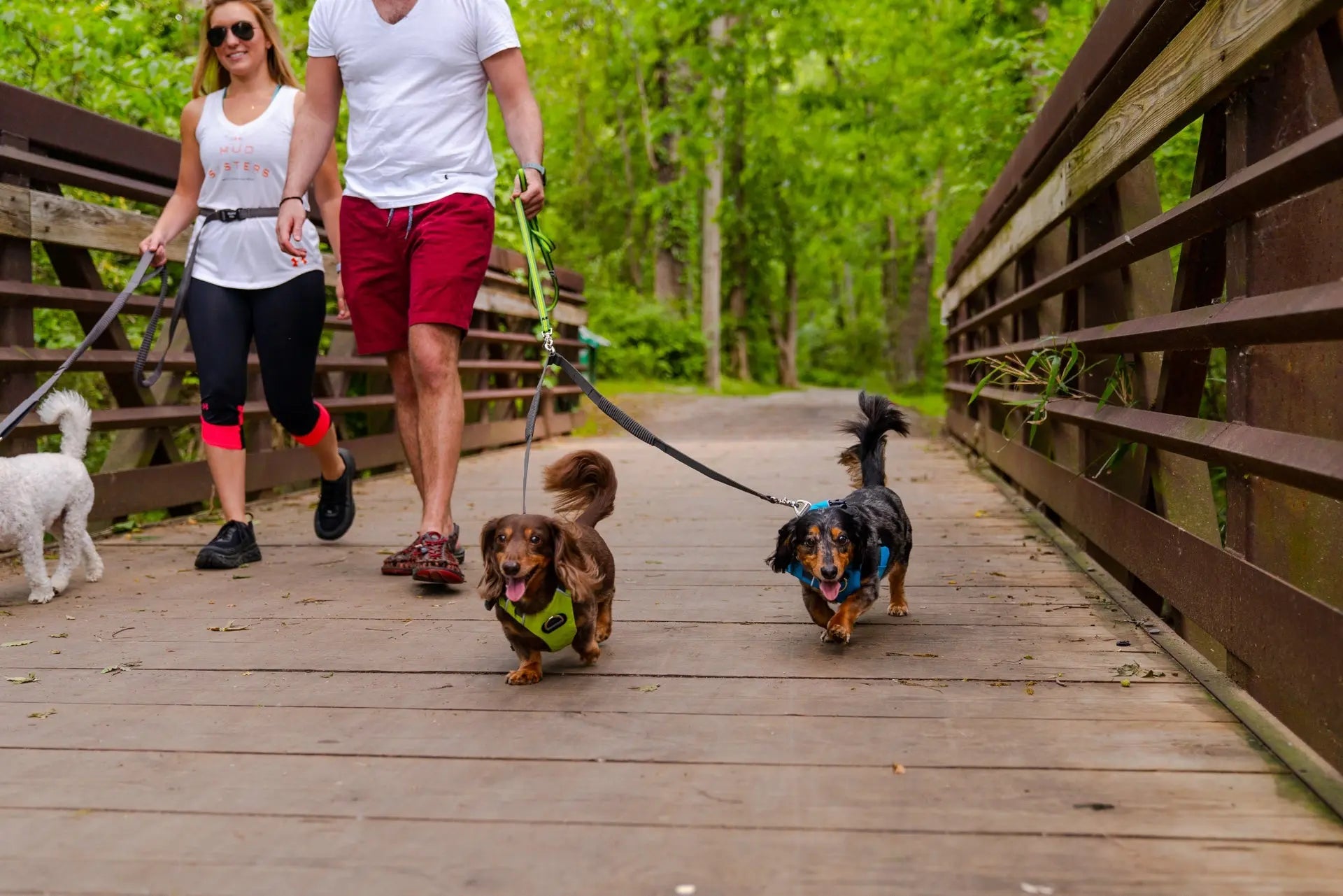 Teton Dark Gray Elastic Dog Leash Coupler Alpha Pak